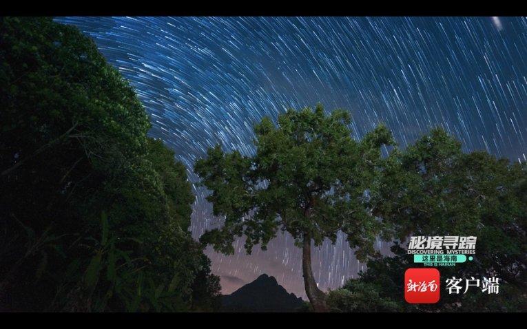 月子中心在鸡汤里加党参被罚3万元，这起到哪些警示作用？